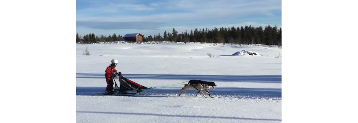 Trenerutvikling: Møte om oppstart barneidrett høsten 2024